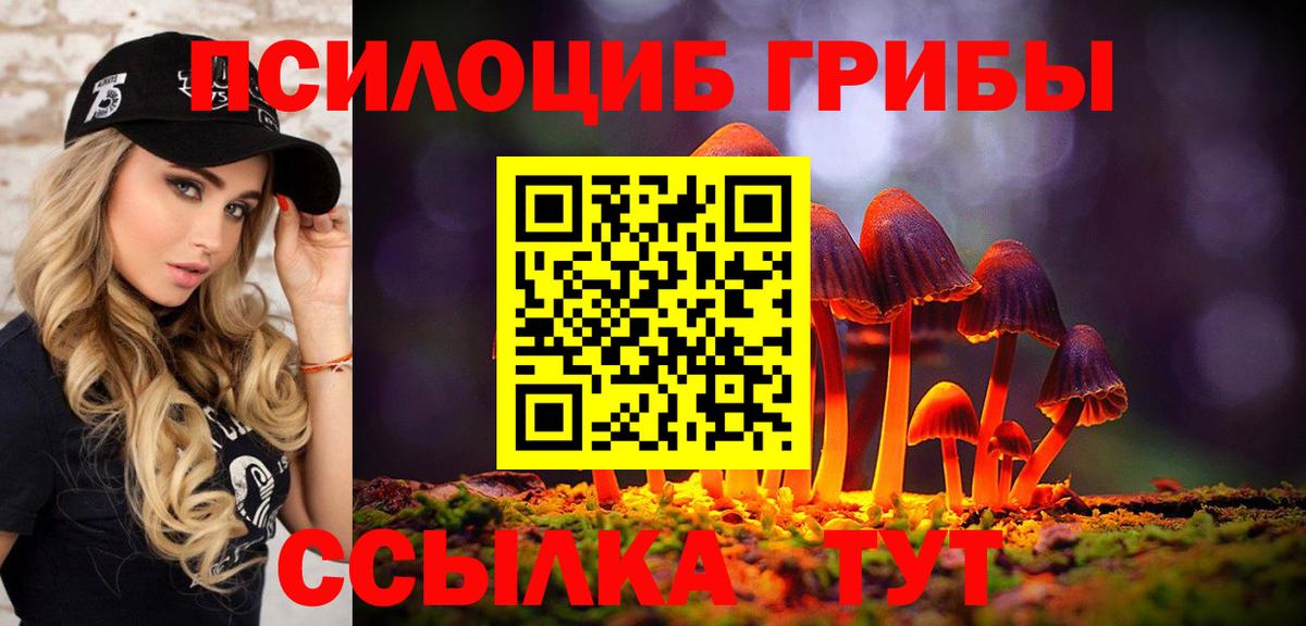 Чайковский  Галлюциногенные грибы ЛСД  Вход с VPN  Псилоцибиновые грибы Psilocybe 